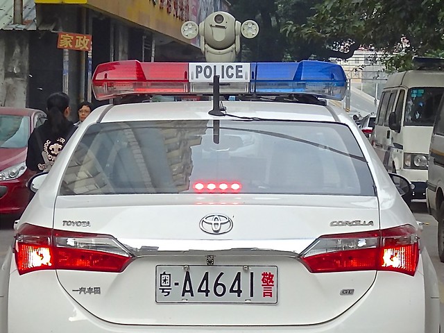 China police 2019