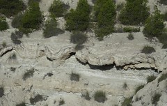 Megasismitas en depósitos lacustres - Camino de la Cañada, Galera (Granada, España) - 52
