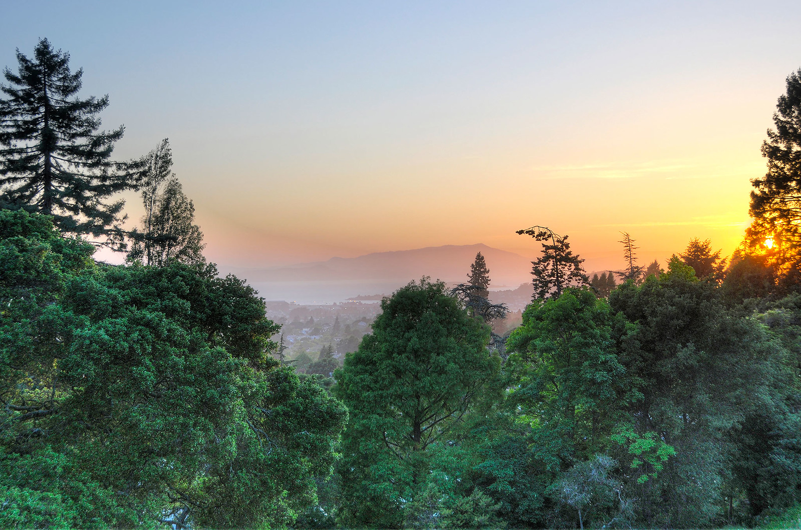 Cover Image for 490 Panoramic Way, Berkeley presented by Laura Arechiga