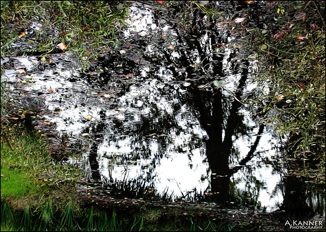 Reflections In A Puddle...