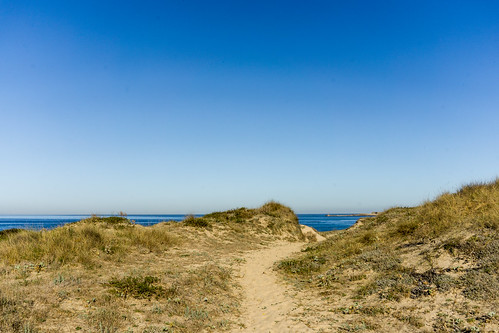 dunes viajando caminando nature viladoconde caminoportugués dunas platya portugal hicking beach sand tracvelling dsendero sea costa trail naturaleza mar coast arena caminodesantiago thewayofsaintjames