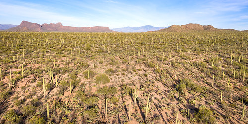 aerialphotography drone landscape dji mavic tucsonmcactus desert mavic2 arizona nature fall djimavicpro tucson unitedstates us