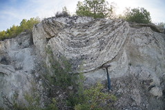 Megasismitas en depósitos lacustres - Camino de la Cañada, Galera (Granada, España) - 43