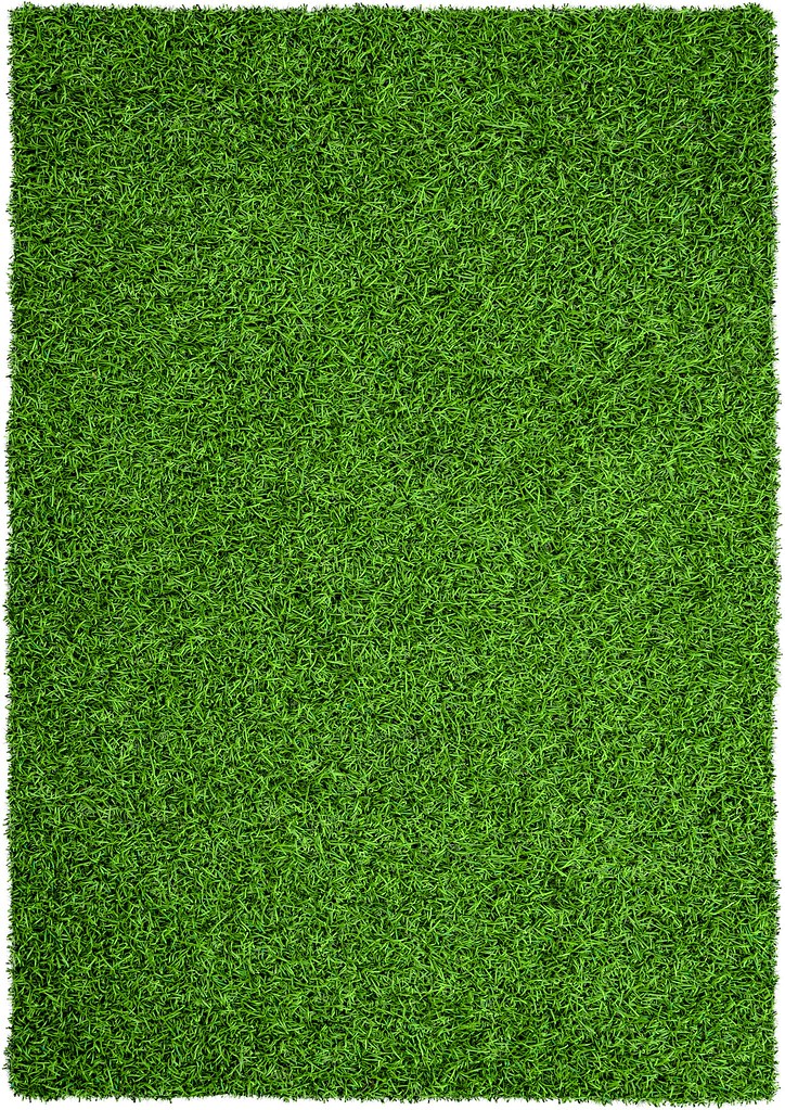 Tapis tissé Green Grass 110