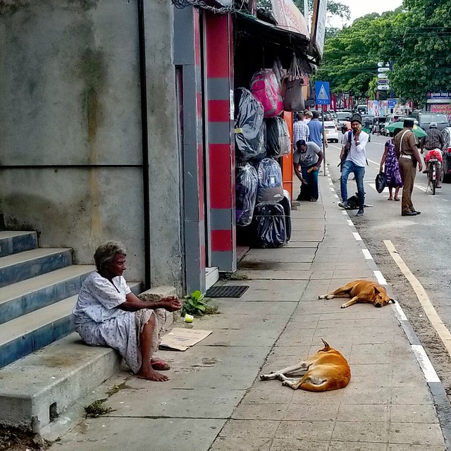 Poverty in the street