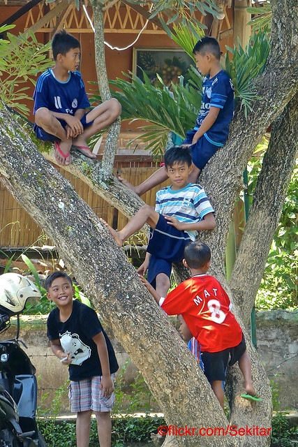 Tree climbers at Candi Jago, Tumpang