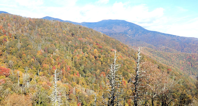 Mountains, from Blue Ridge Parkway, with three old dead trees