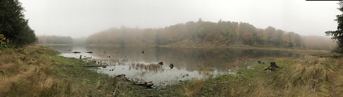 Gatineau - misty on the pond
