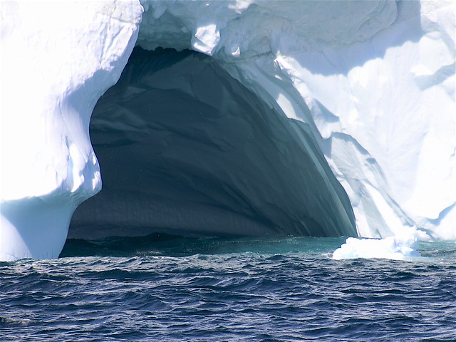 Iceberg Cruise