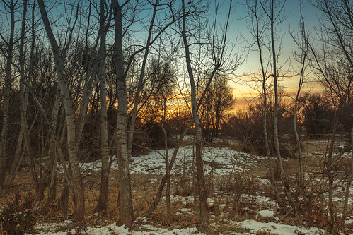 sunrise trees morning winter snow landscapes outdoors idaho