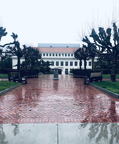 Rainy Day on Campus