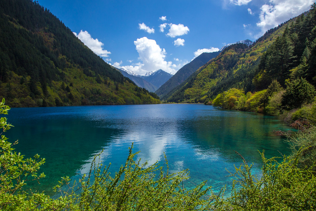 Rhinoceros Lake Jiuzhaigou Valley Nuorilang Lakes And Shu Flickr