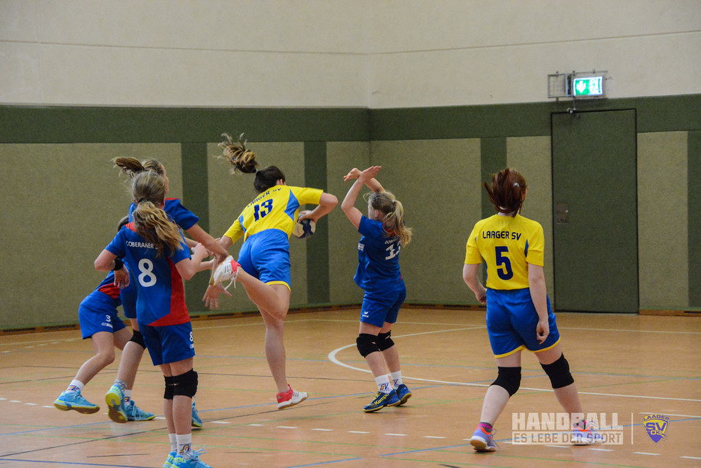 Doberaner Sv Handball