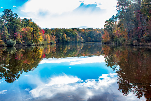 Fall colors_0301 | by rejo4580