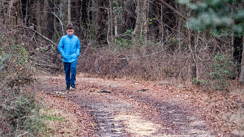 Boy walking on a trail in the woods