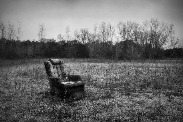 Sitting In A Field. Windsor, ON.