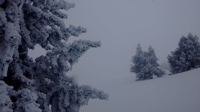IMG-20190202-WA0064