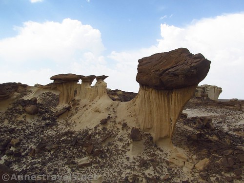 Rock formations in the Valley of Dreams, Ah-Shi-Sle-Pah Wilderness, New Mexico