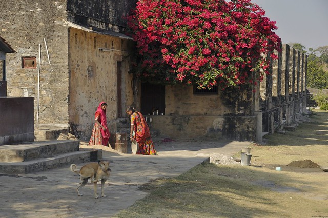 La vie quotidienne dans la forteresse de Kumbhalgarh