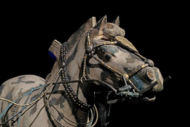 Terracotta warriors exhibition - Wellington - horse