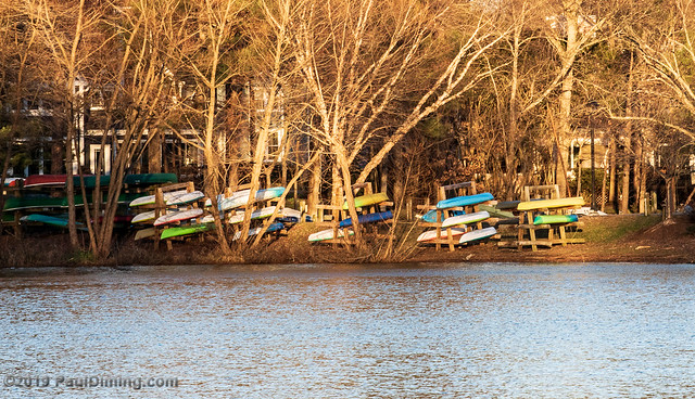 Sun-lit Kayaks on Swift Creek Reservoir - Midlothian, VA