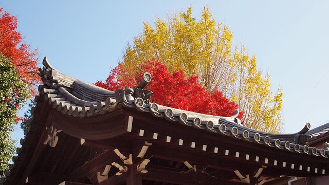 a roof in Kyoto