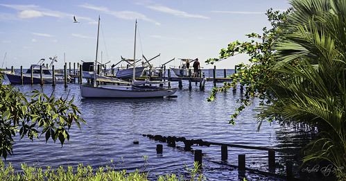 coconutgrove miamifl exploration waterways walkingaround urbanexploration trees walkways bayview bay sailboat yachts water statepark park people