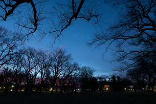 Dawn of the Colorado State University Oval