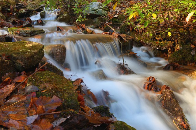 a majestic mountain stream at Douthat State Park, Va in the fall
