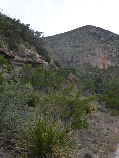 McKittrick's Canyon Hike Guadalupe Mountains National Park Texs 2018