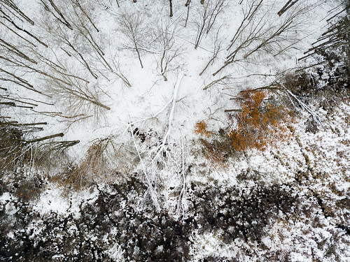 dji djimavicpro kalamazoocounty michigan portage us unitedstates aerialphotography drone fall flying fog landscape nature outdoor overcast park snow weather winter