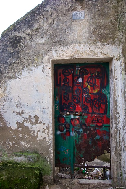IMGP3233 Artistic Door