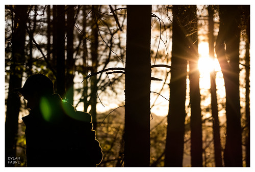 sun sunset lensflare person trees forest contrast