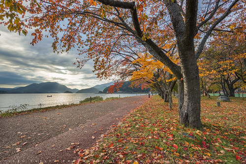 japan yamanashi fuji mtfuji kawaguchiko lake kawaguchi autumn fall foliage travel nikon d610 leslietaylor lestaylor lestaylorphoto 日本 河口湖 ニコン 富士山 富士五湖