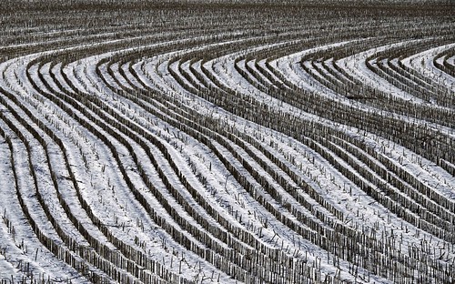 landscape field pattern winter snow wavy farm