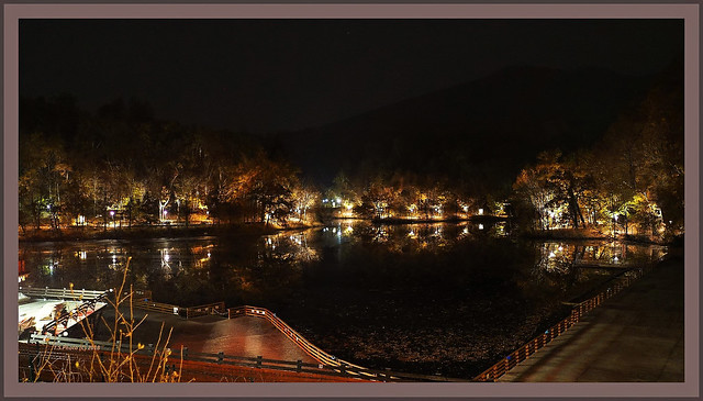 Sovata lake and forest by night
