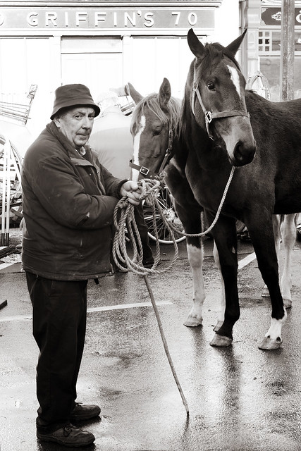 Horse trader, Castleisland, County Kerry.