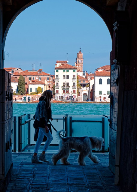 Venice / Giudecca / Woman with hairy dog