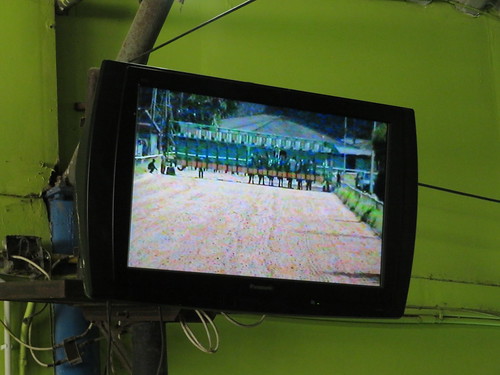 チェンマイ競馬場の定点カメラ