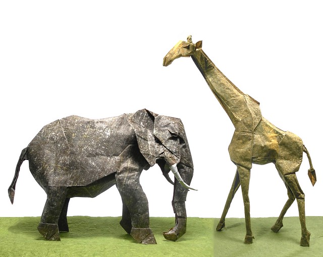 African Elephant and Giraffe - Shuki Kato