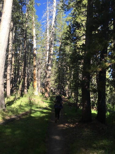 PCT: Day 76