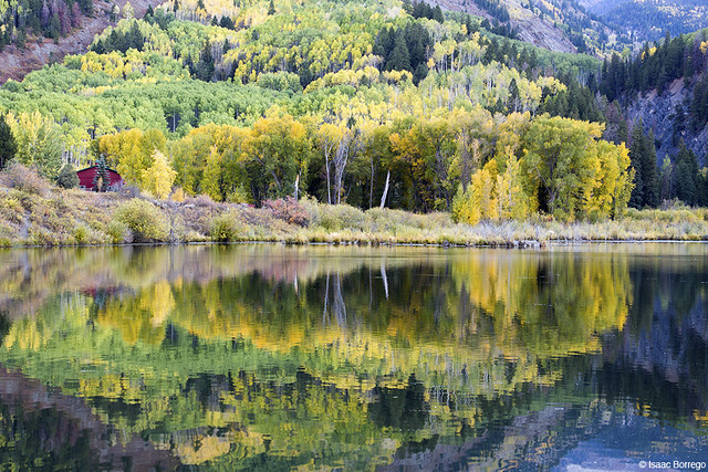 Early Fall Reflections