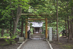 Hokkaido Shrine Grounds - Sapporo