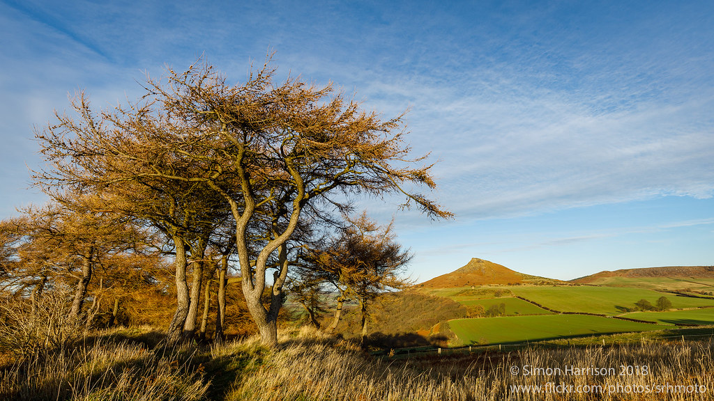 Roseberry Topping from Gale Rigg