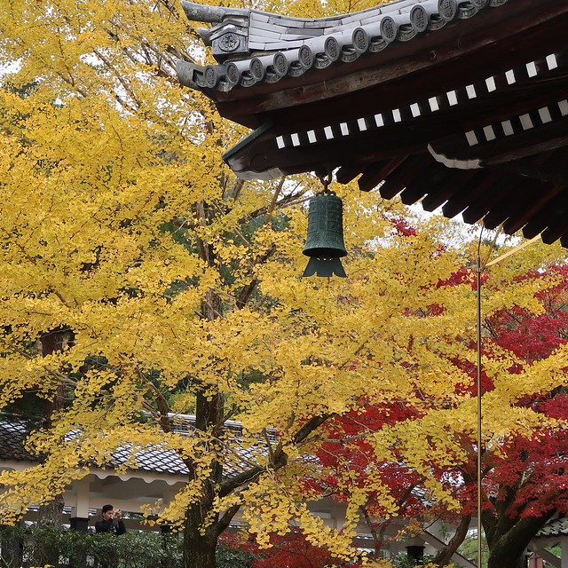 Kyoto 南禪寺