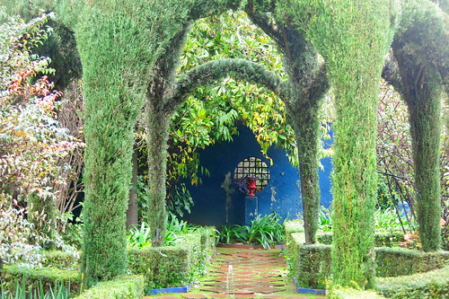 Jardin con fondo azul