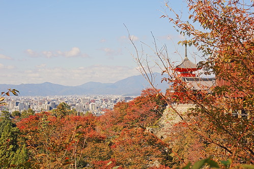 japan kyoto kyototemples bambooforest fushimiinari hdr hdrphoto autumn fall