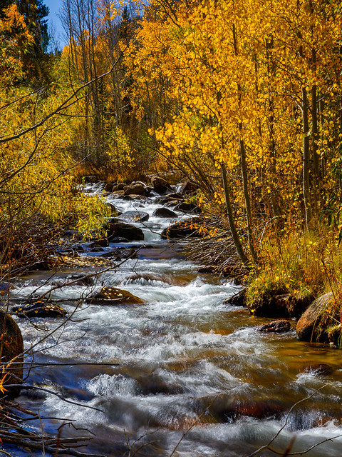 Fall at Bishop Creek
