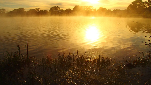 Morning Mist, Lake Hamilton, Victoria, Australia