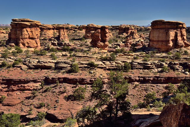 Sandstone Columns, Pillars and Knobs Scattered Across the Rocky Landscape of Canyonlands National Park